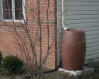 Residential Rain Barrels