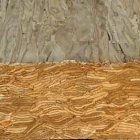 Parallel Strand timber 